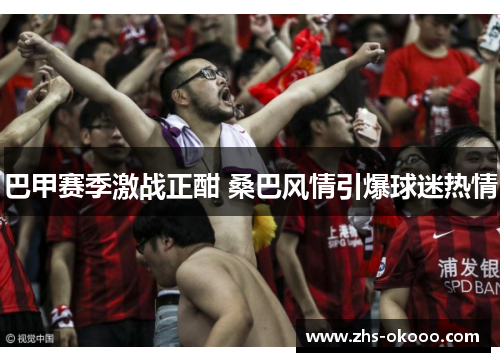 巴甲赛季激战正酣 桑巴风情引爆球迷热情